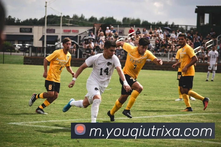 有球体育发展历程